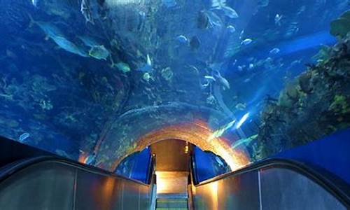 北京最大的海洋馆_北京最大的海洋馆是哪个海洋馆